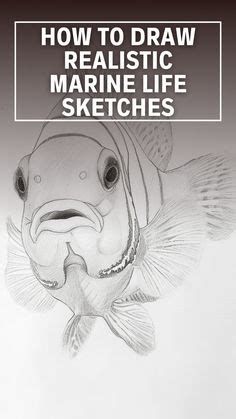 marine life drawing ideas|15 Realistic Marine Life Drawing Ideas and Tutorials for All Skill .